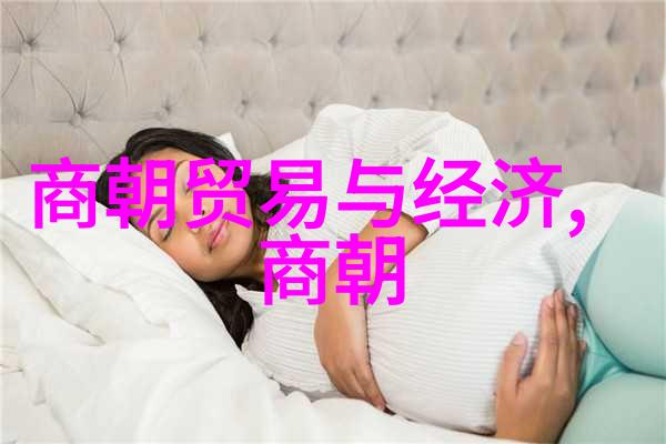 宋朝的盛世与衰落历史之弦上的两首诗