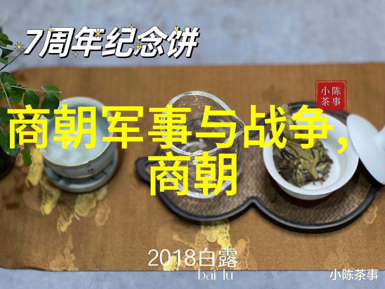 南宋英雄孟珙的屈辱金国皇后的羞辱之谜