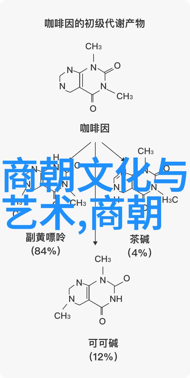 元代城市繁华与文化盛世