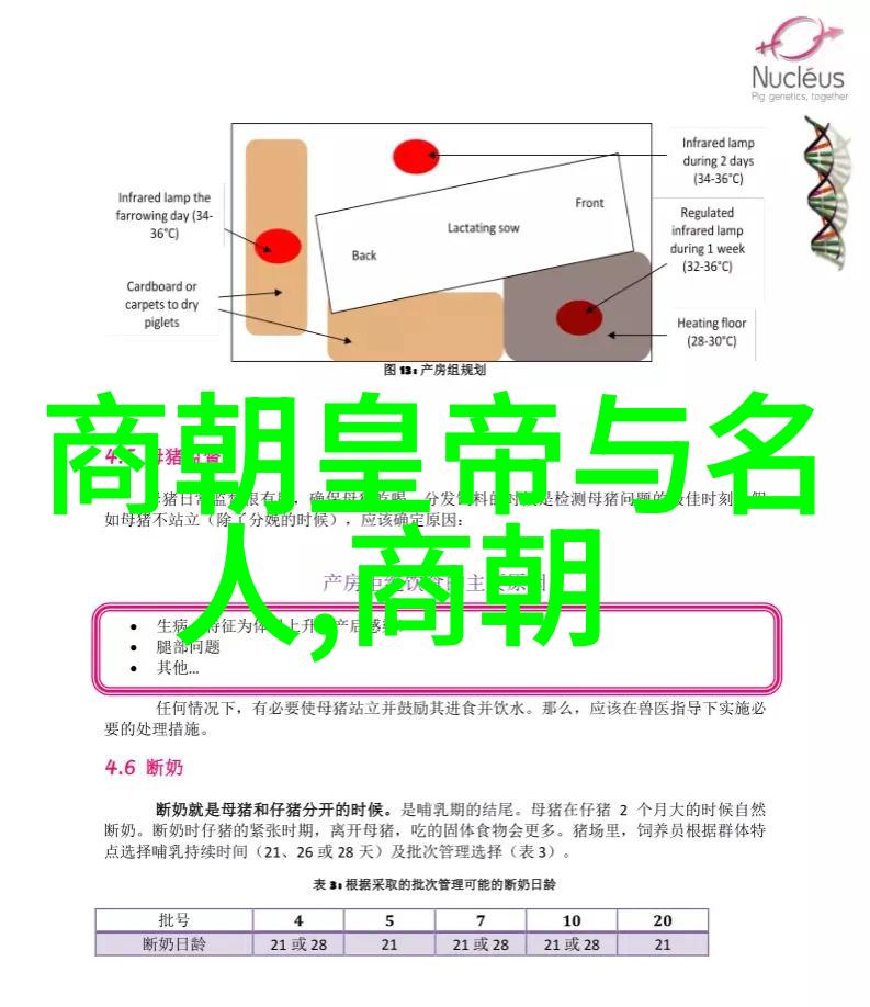 朱允炆与朱棣对比研究权谋与兵略的比较分析