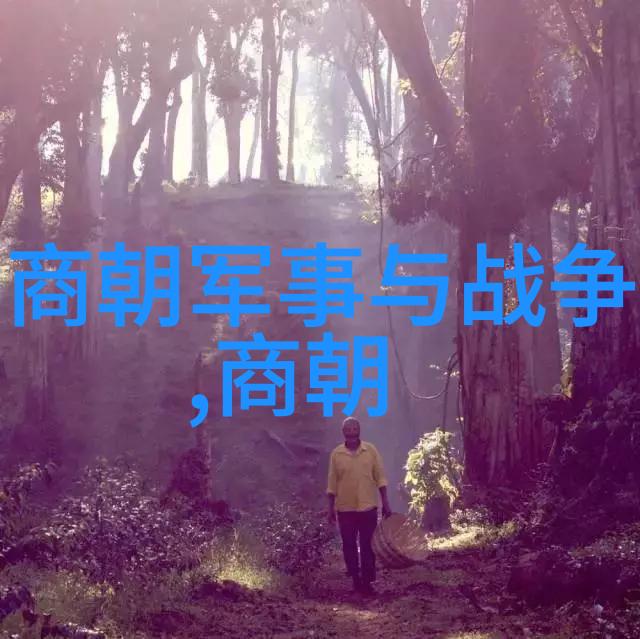 明朝风云变幻揭秘历史的第二章