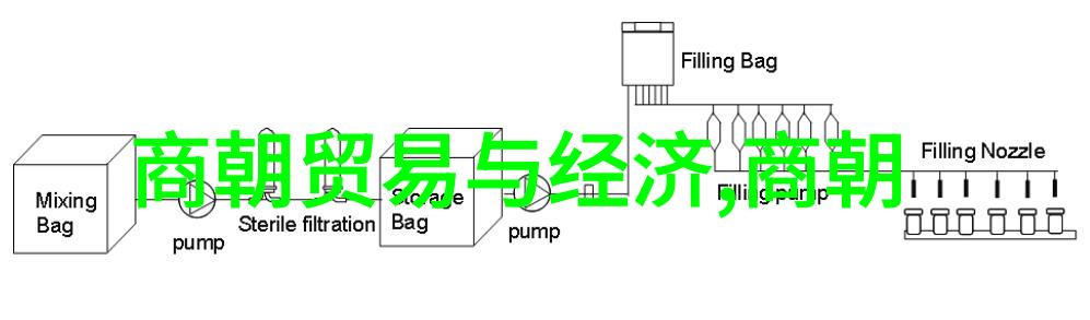 初中历史必背知识点精讲回顾往昔启航未来