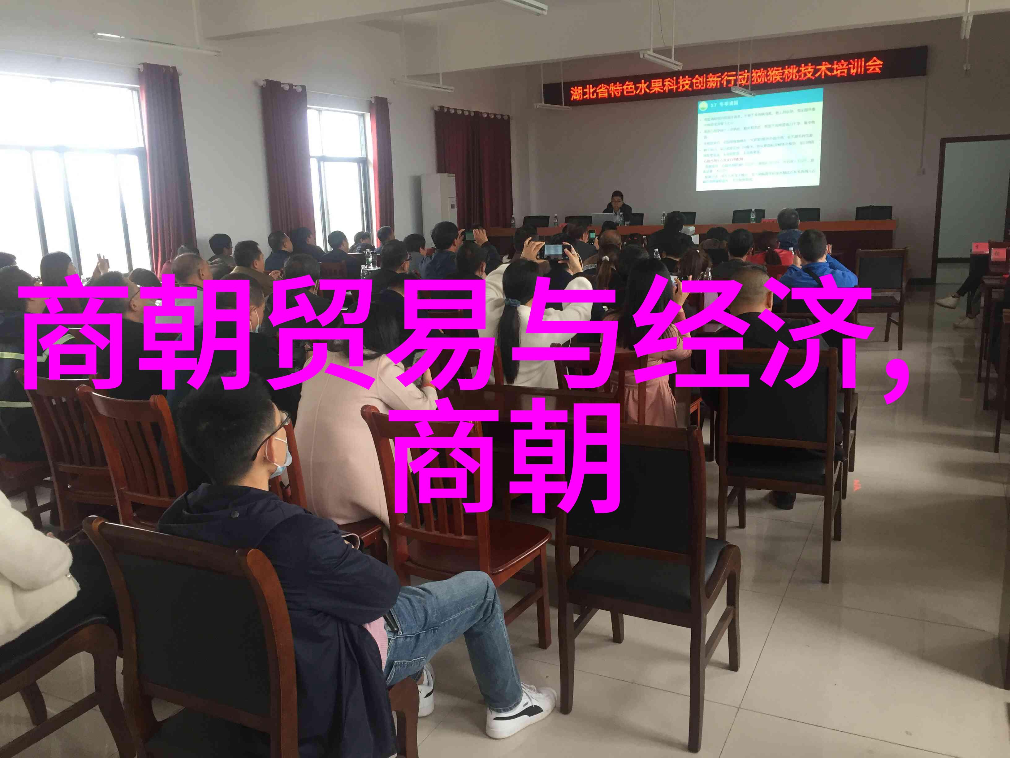 大婚晚辰全文免费阅读爱情的盛宴与人生的新篇章