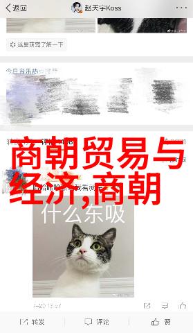 明朝覆灭后的权力转移清军入主中原