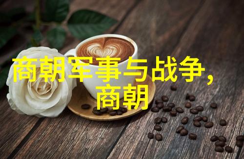 小罗莉极品一线天揭秘影视界的新星璀璨