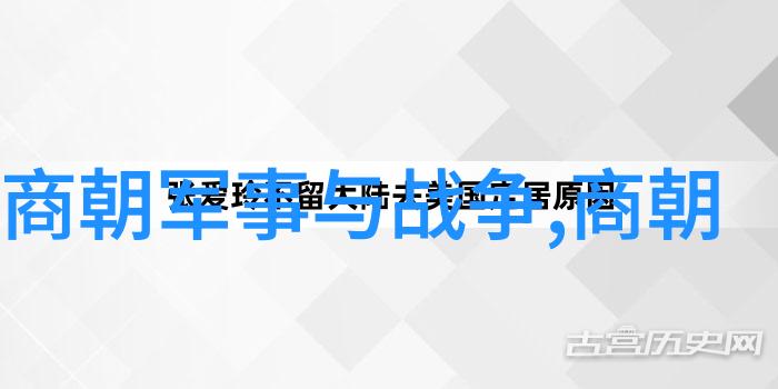 中国书法艺术-墨香沉浮十位中国著名书法家的艺术探索