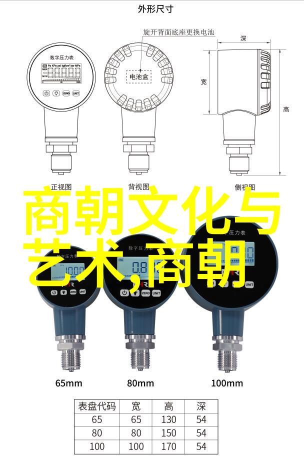 言教授的失误小说免费全文的意外后果