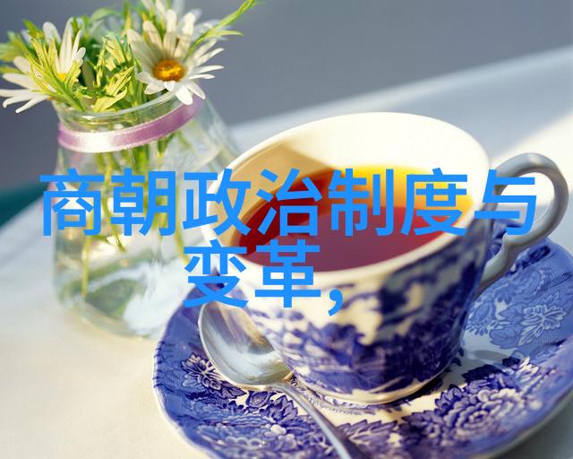 明朝历史解说揭秘塞王的神秘面纱