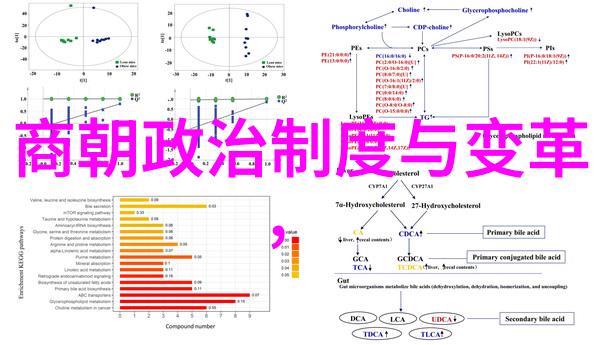 曹操与豫剧河南豫剧选段免费下载中的历史回响