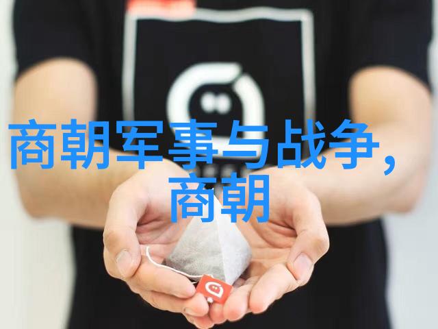 宋朝历史探秘揭秘千年往事的新方式