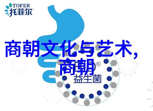 宋朝历史成就科技创新与文化繁荣