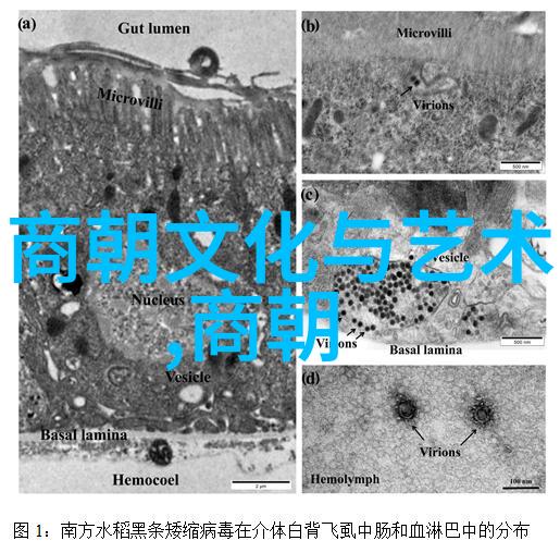 土木堡之变对中国历史的影响-铁血与倾城土木堡之变后中国政治经济社会的深刻转变