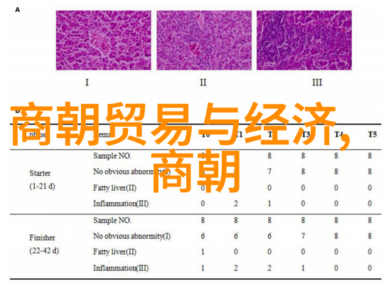 明清两朝封建社会末期的政治稳定与文化繁荣