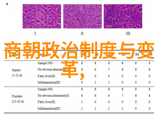 小学教科研工作计划创意思维实践探究