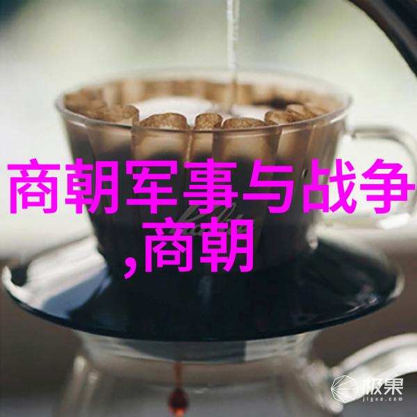 龙凤呈祥揭秘明朝那些令人惊叹的奇遇