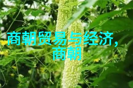 主题我始终避免提及乾隆的那个名字