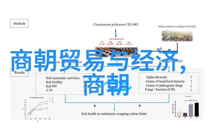 探索传奇世界文化史上十大名人的辉煌足迹