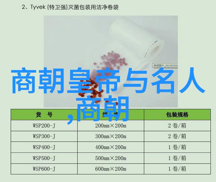 最荒唐的冒险追逐梦想与偏执的边界