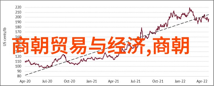 小明历险记古代城堡里的秘密是什么