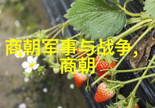 探秘湘美湖南文化与风情