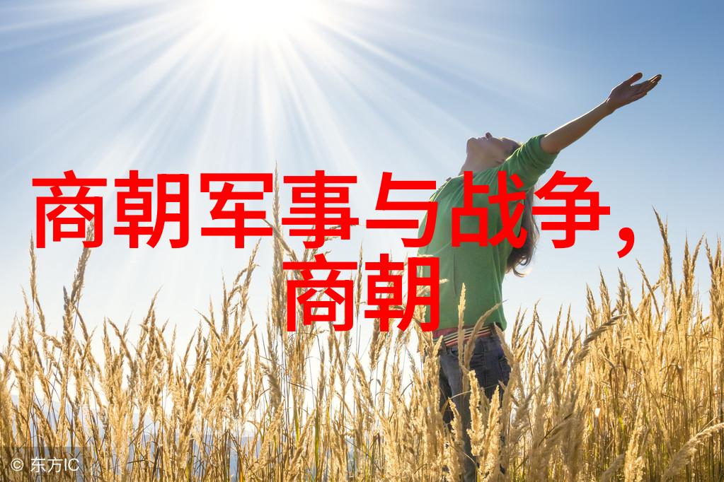 明朝末年之乱李自成与清军的交锋