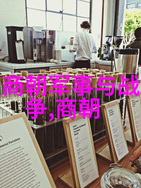 墨水里的梦想书法家的成长之旅