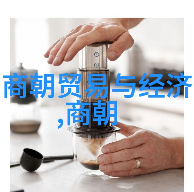 明朝哪些事儿探讨一条鞭法的实施及其效益与弊端