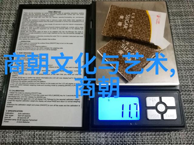 清朝后宫历史-紫禁城中的秘密揭秘清朝后宫的荣耀与悲剧