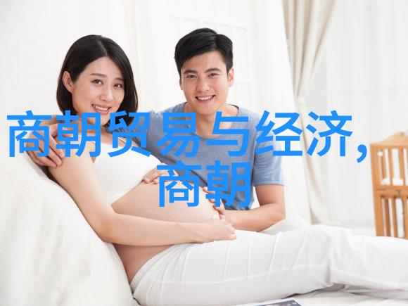 明朝历代君主简介与时期特色分析