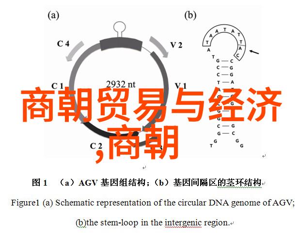 近代史上的重大战役第一次世界大战