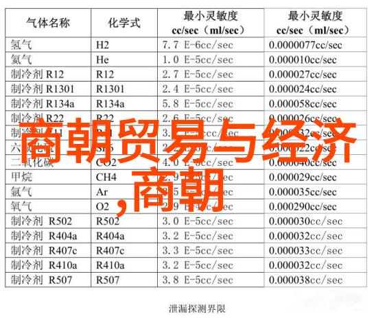 老妇的歌声60岁时的风华与韵味