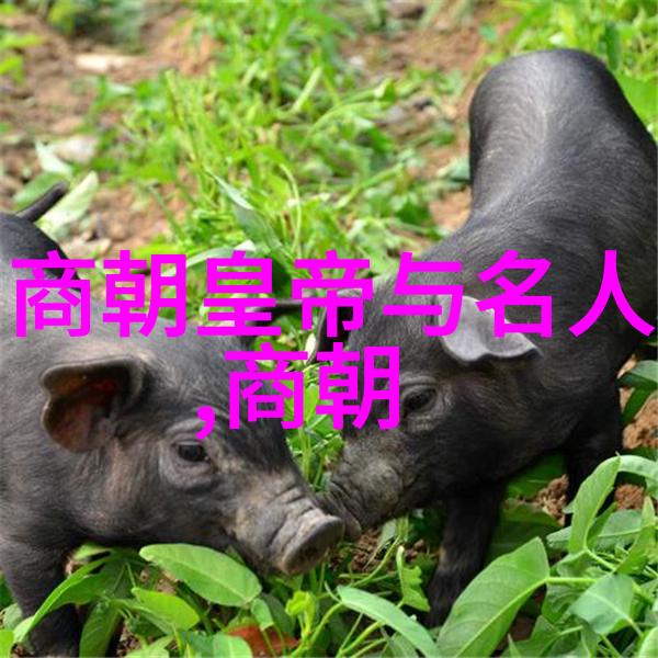 宋代史料-梗概宋代文献与史书的价值探究