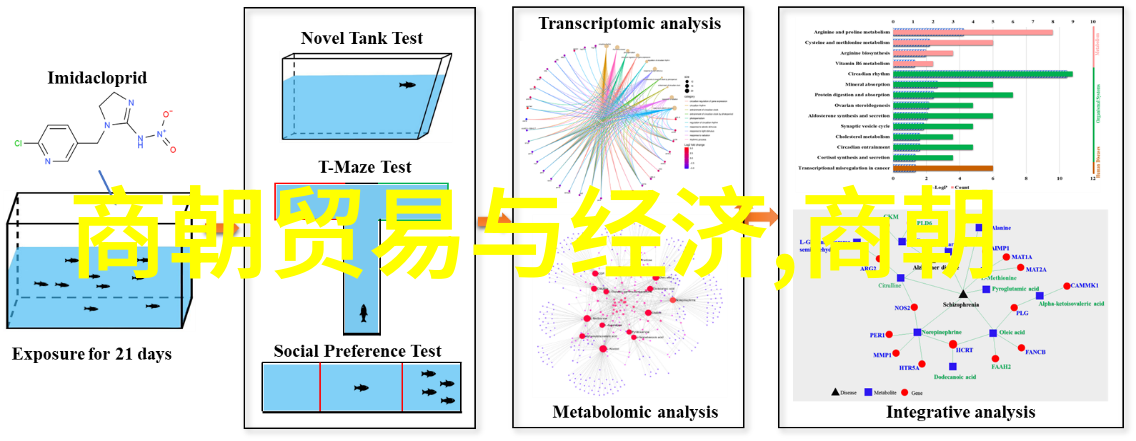 唐朝梦幕丝绸之巷的秘密