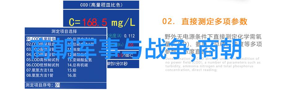 月光下的森林奇遇