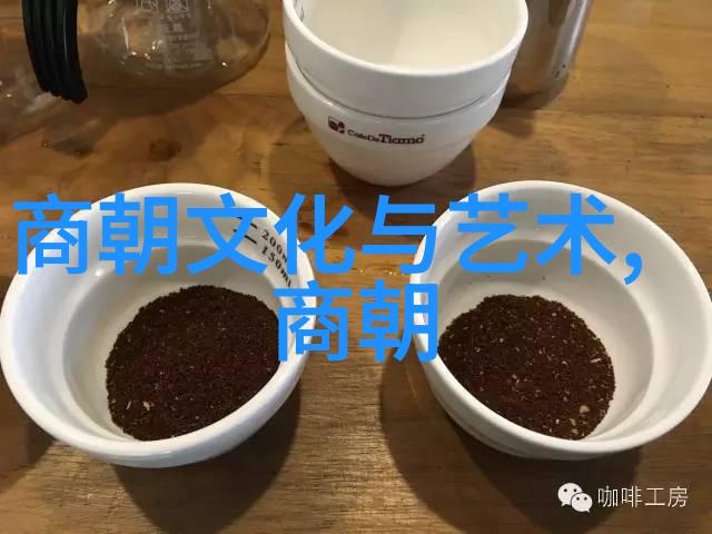 明朝的辉煌与挑战剖析明朝的实力与局限