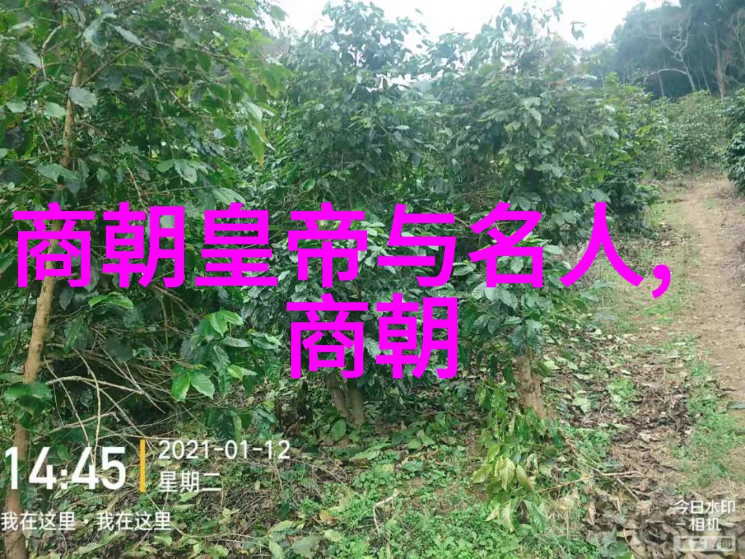 企业文化系统是如何像岳飞收复建康那样重塑企业精神的