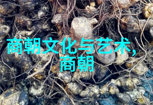 企业文化故事精彩探究企业文化建设的故事