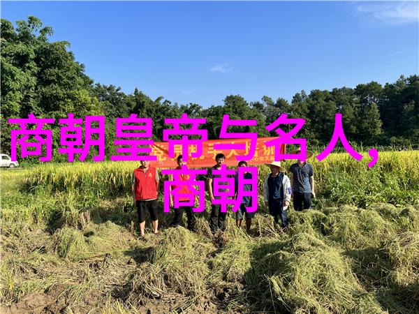 地理环境对战斗结果的决定性作用土木堡地形解析