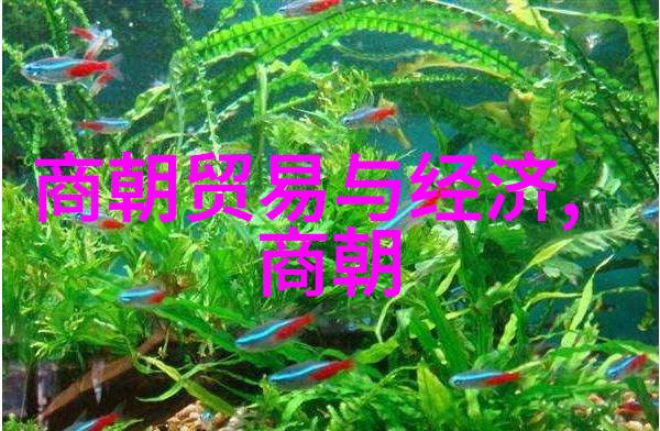 清朝宫廷的禁忌之翼穿越太监的秘密生活