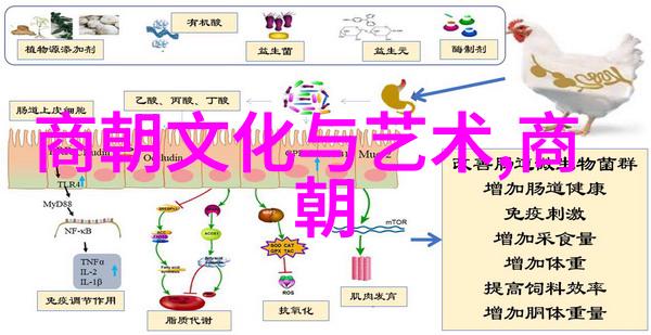 张居正明朝鼎盛时期的杰出政治家之所以为第一人