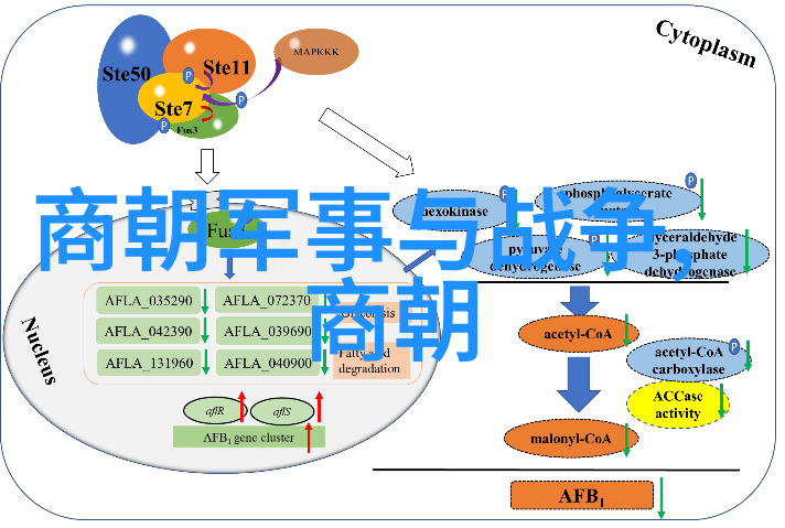 后金入关前的元末民变研究 从朱棣到努尔哈赤