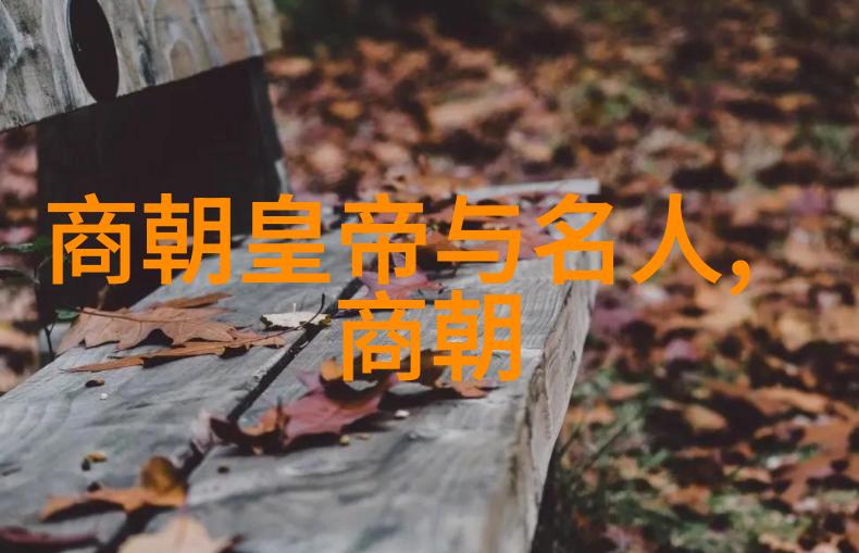 清朝比明朝落后吗我是怎么想的