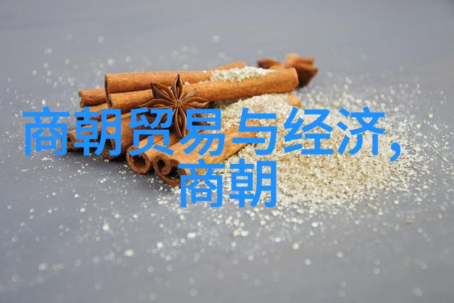 明英宗称号由来明朝英宗朱祁镇的帝王身份与称号的历史背景