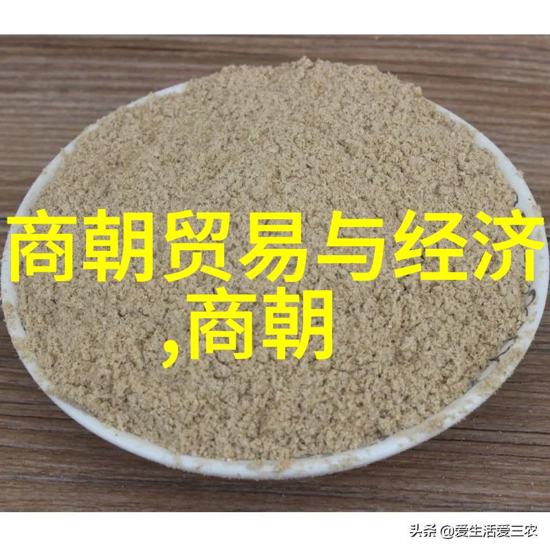 初中一年级历史必背知识点全解析从古代文明到现代社会的重要时期与人物