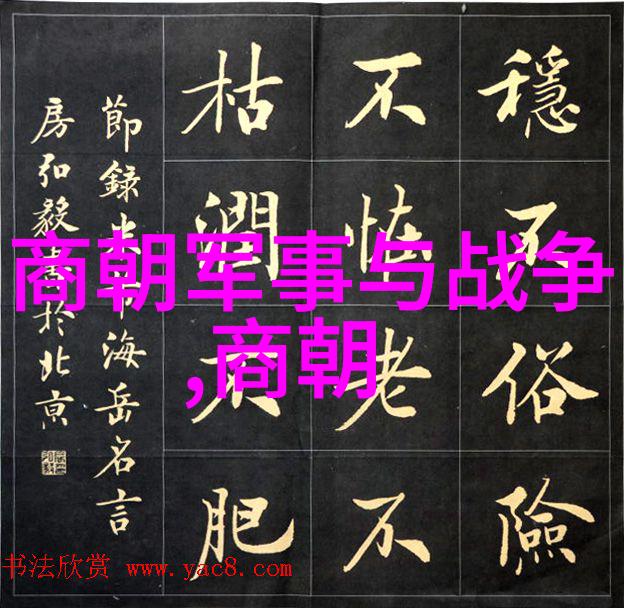 历史的秘密四年级学生揭开古代名将的神秘面纱