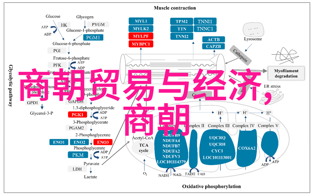 朱桂为什么被称为明朝第一恶王明朝在位时间最短的帝王是谁社会角度探讨