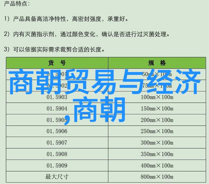 传奇人生一位伟人的500字人物传记