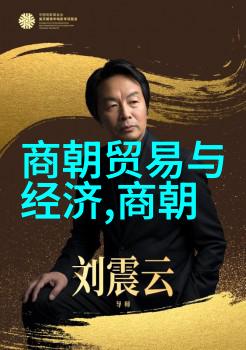 足球场上的传奇历史名人足球明星的光辉篇章