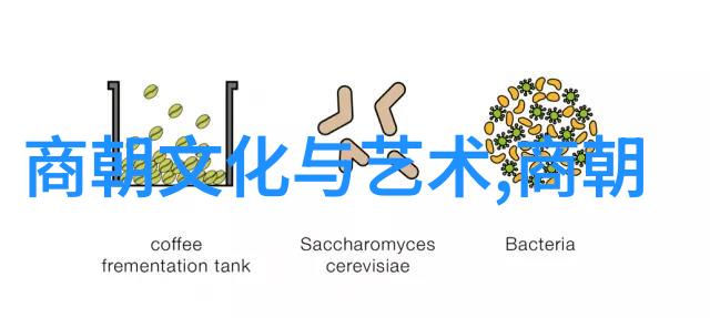 明熹宗的龙具由谁来掏木匠活一夜间成帝后爱情与权力的交错故事