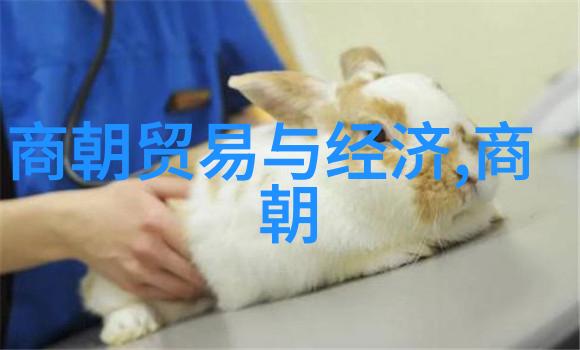 明朝军事策略的缔造者是谁他们有何贡献